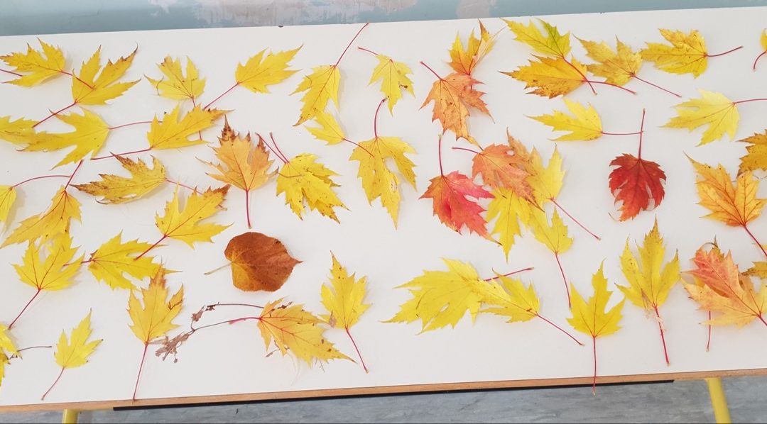 Обиљежавање почетка јесени